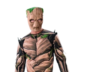 Groot Kostuums