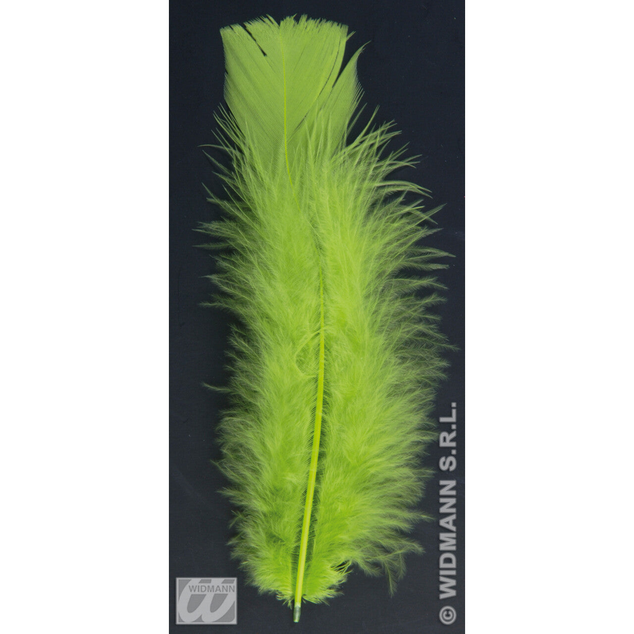 Op deze afbeelding zie je een Decoratie, van het merk Widmann. Zakje Met 50 Veertjes Groen