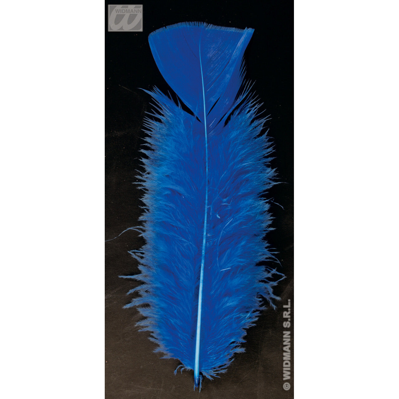 Op deze afbeelding zie je een Decoratie, van het merk Widmann. Zakje Met 50 Veertjes Blauw