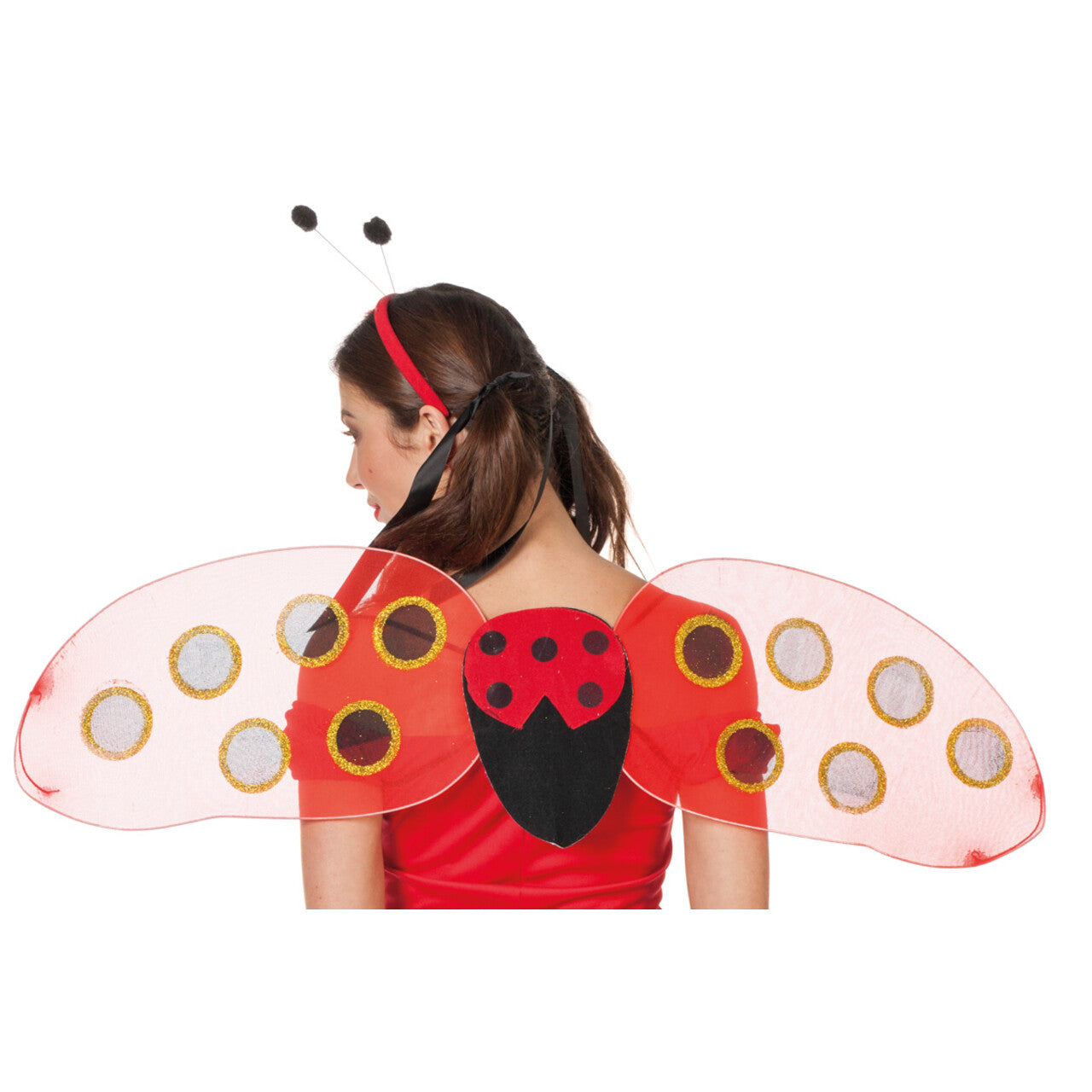 Op deze afbeelding zie je een Accessoires, van het merk Wilbers. Lief Lieveheersbeestje Set