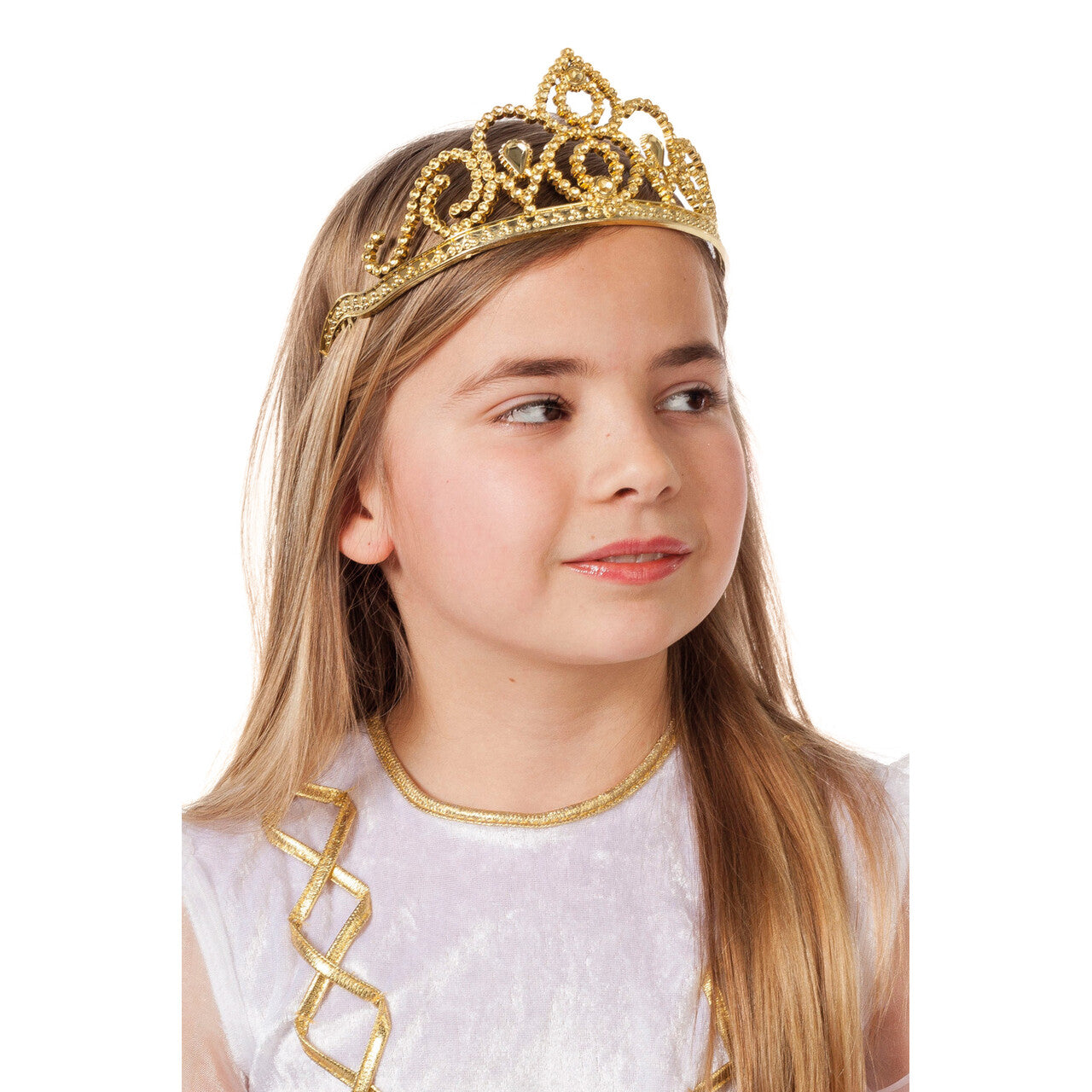 Op deze afbeelding zie je een Accessoires, van het merk Wilbers. Tiara Prinses Goudrijk
