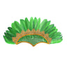 Samba Tooi Met Pailletten En Veren Groen