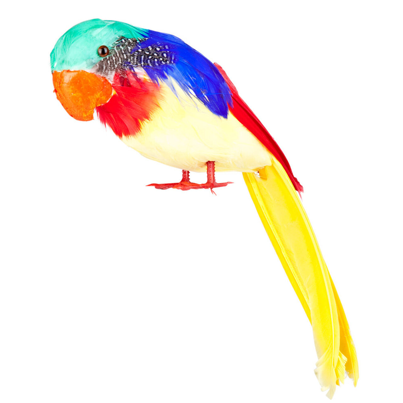 Op deze afbeelding zie je een Decoratie, van het merk Boland. Papegaai Tweets Decoratie