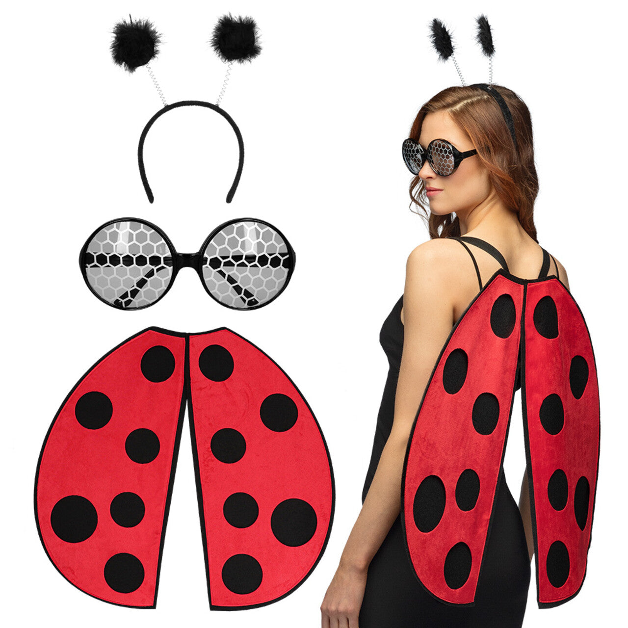 Op deze afbeelding zie je een Accessoires, van het merk Boland. Ladybug Set