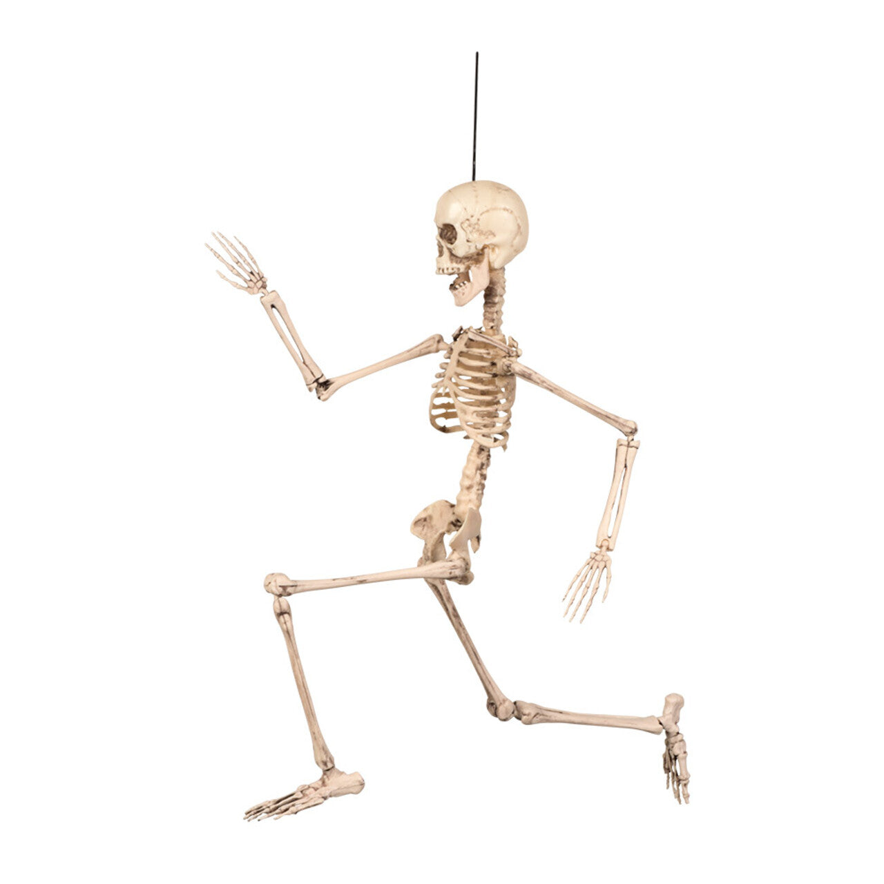 Op deze afbeelding zie je een Decoratie, van het merk Boland. Hangdecoratie Mr Skeleton