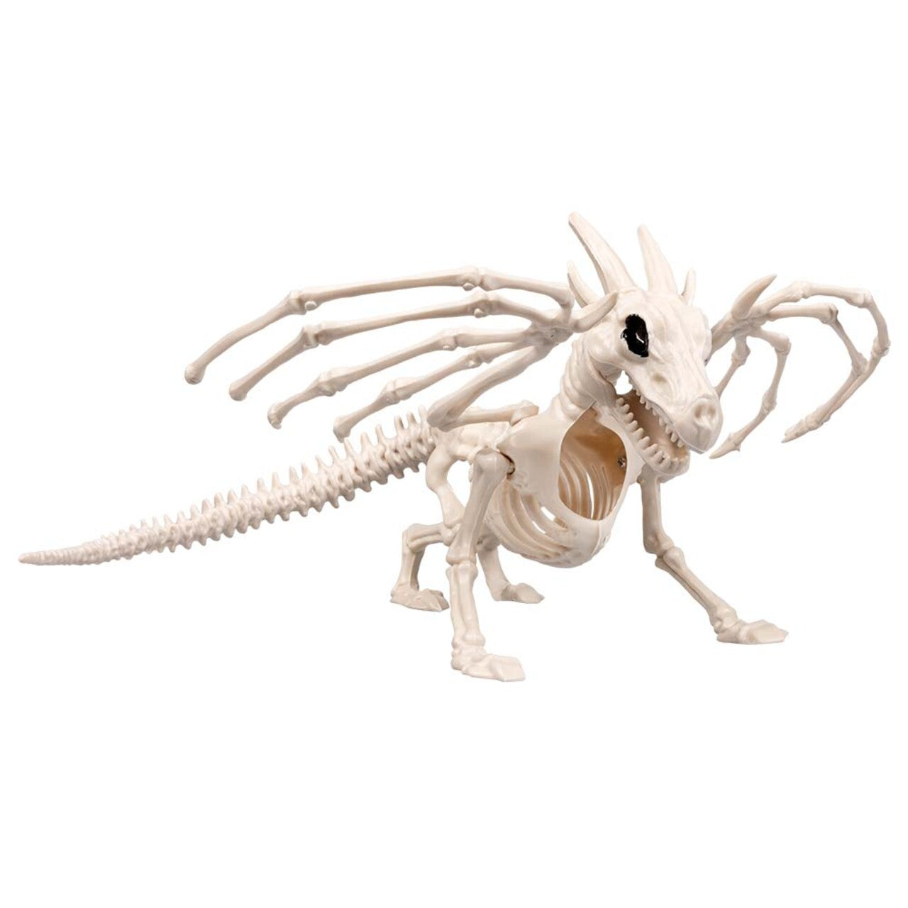 Op deze afbeelding zie je een Decoratie, van het merk Boland. Decoratie Skelet Draak Mager