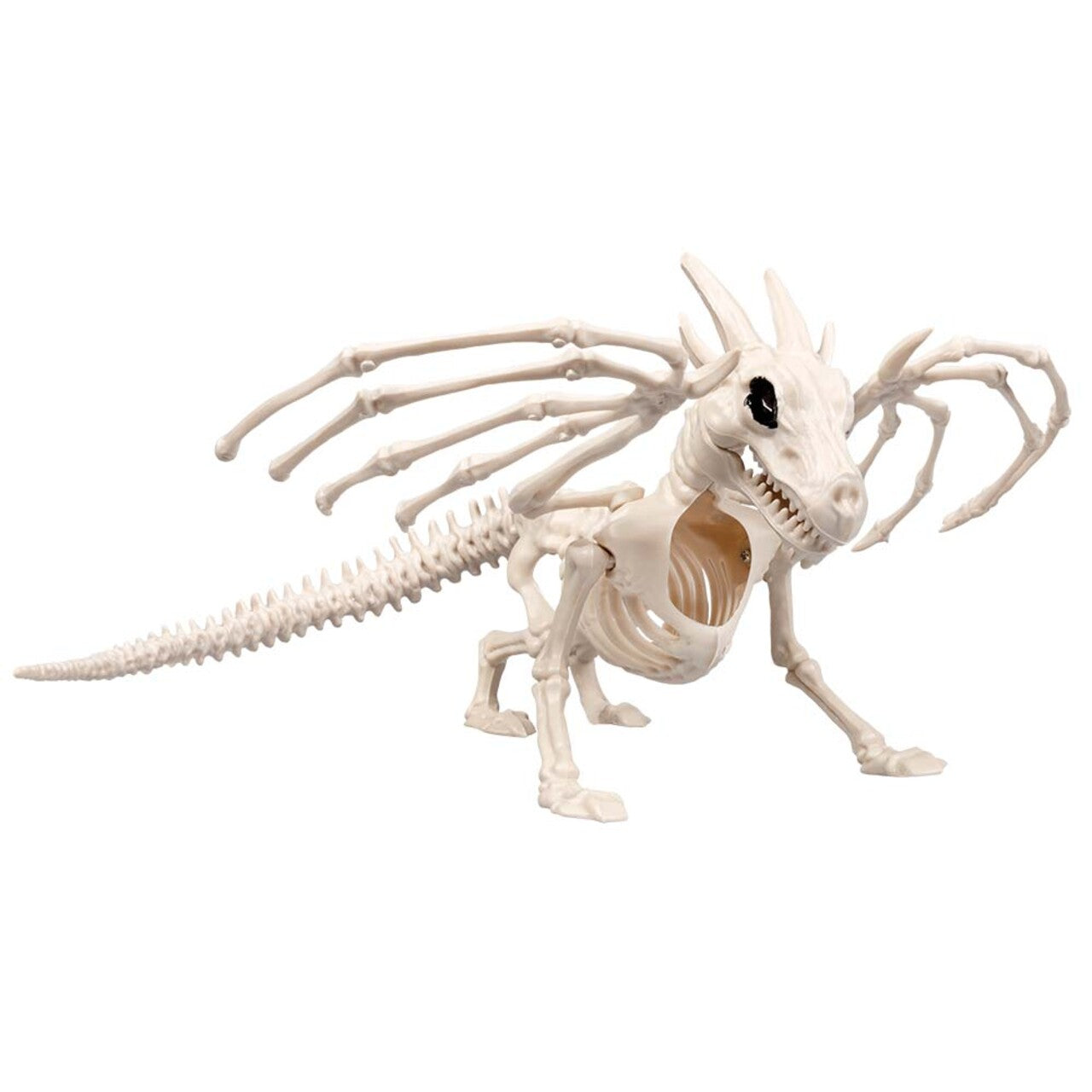 Op deze afbeelding zie je een Decoratie, van het merk Boland. Decoratie Skelet Draak Mager