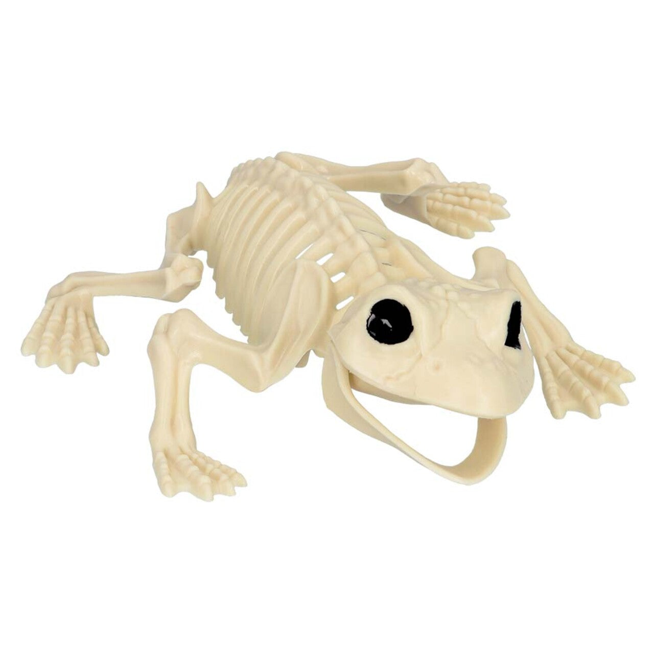 Op deze afbeelding zie je een Decoratie, van het merk Boland. Decoratie Skelet Kikker