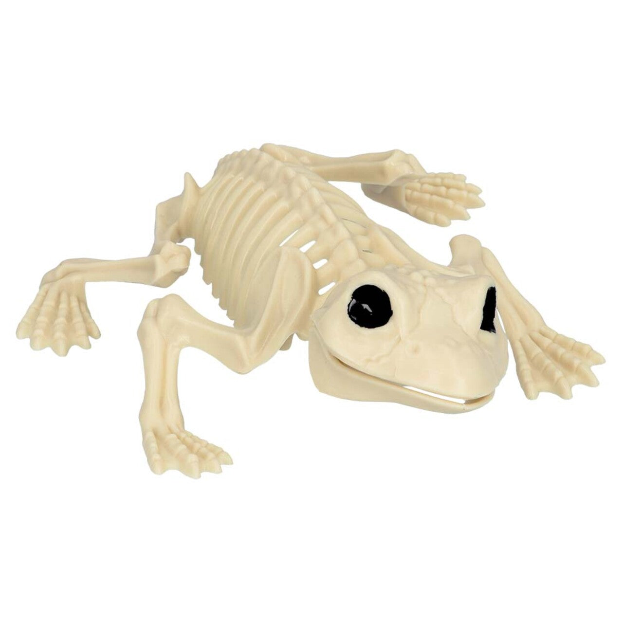Op deze afbeelding zie je een Decoratie, van het merk Boland. Decoratie Skelet Kikker