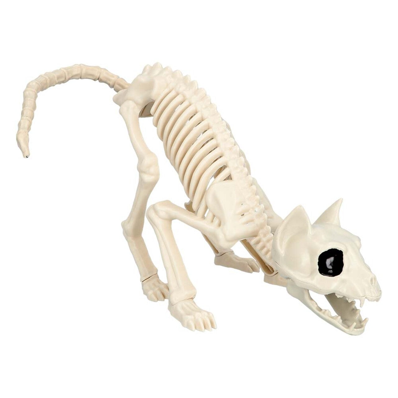 Op deze afbeelding zie je een Decoratie, van het merk Boland. Decoratie Skelet Kat Mimi