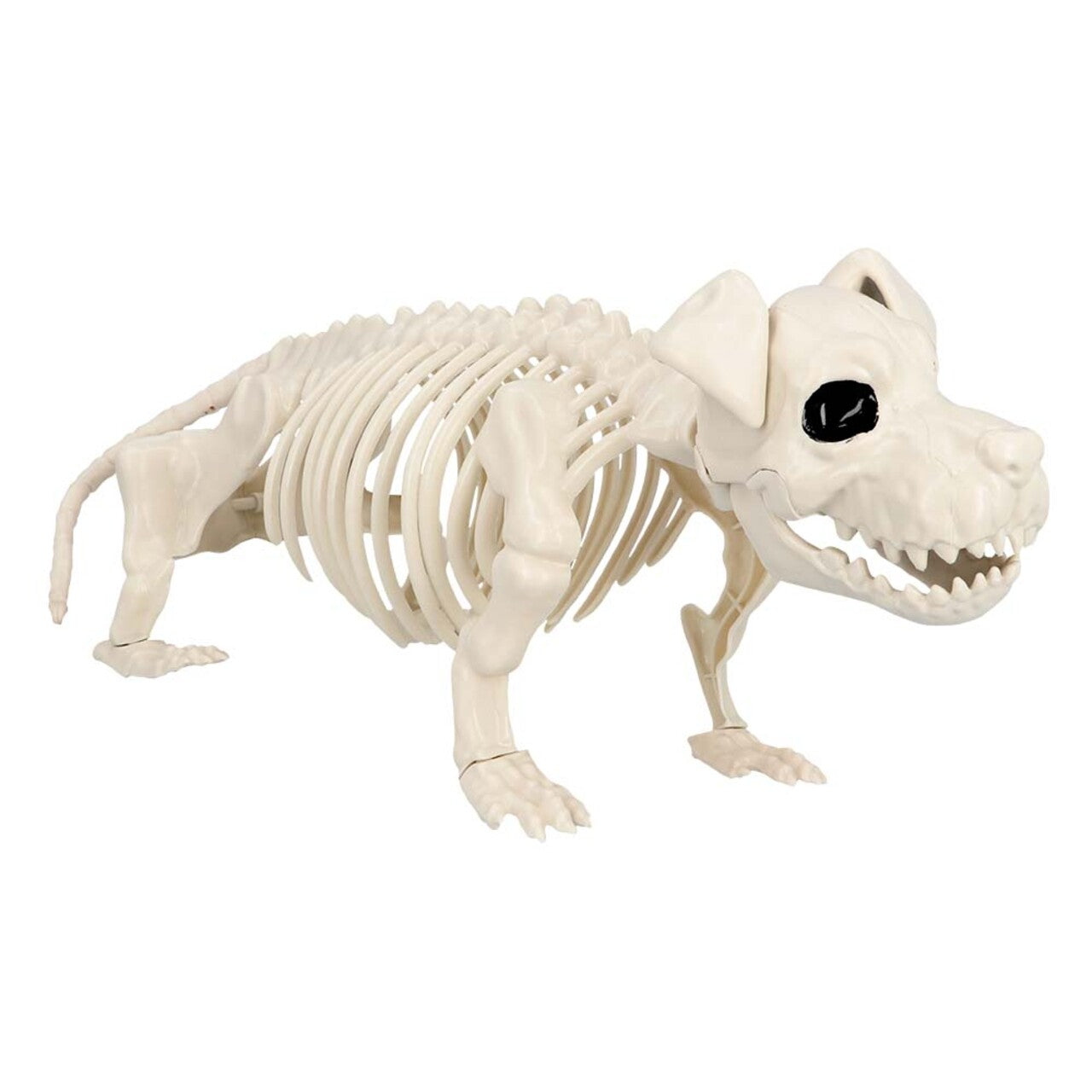 Op deze afbeelding zie je een Decoratie, van het merk Boland. Decoratie Skelet Hond Bullie Dog