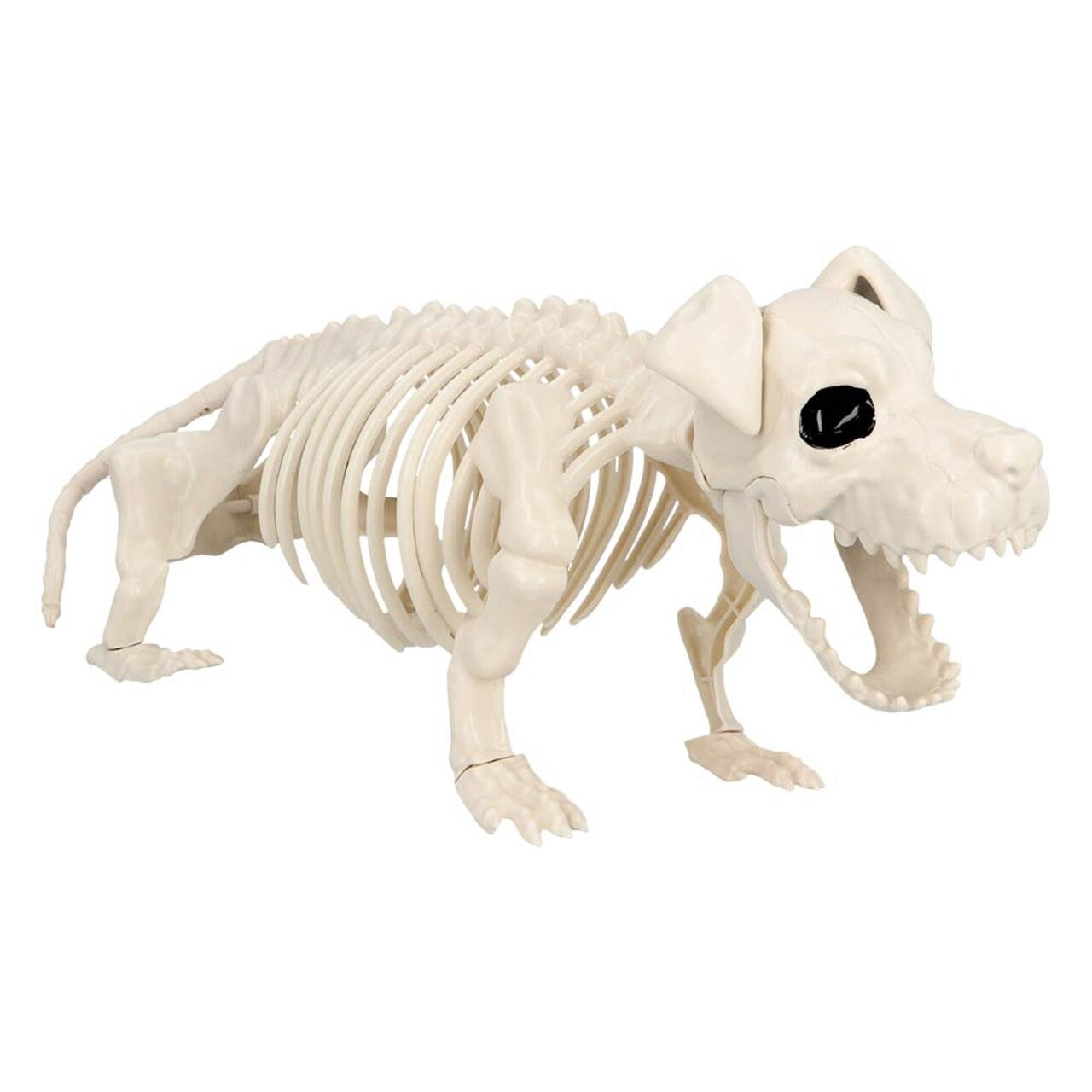 Op deze afbeelding zie je een Decoratie, van het merk Boland. Decoratie Skelet Hond Bullie Dog