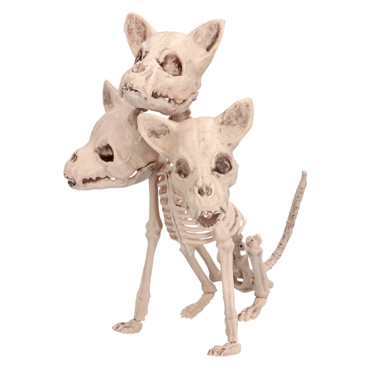 Op deze afbeelding zie je een Decoratie, van het merk Boland. Decoratie Skelet Driekoppige Hond Cerberus