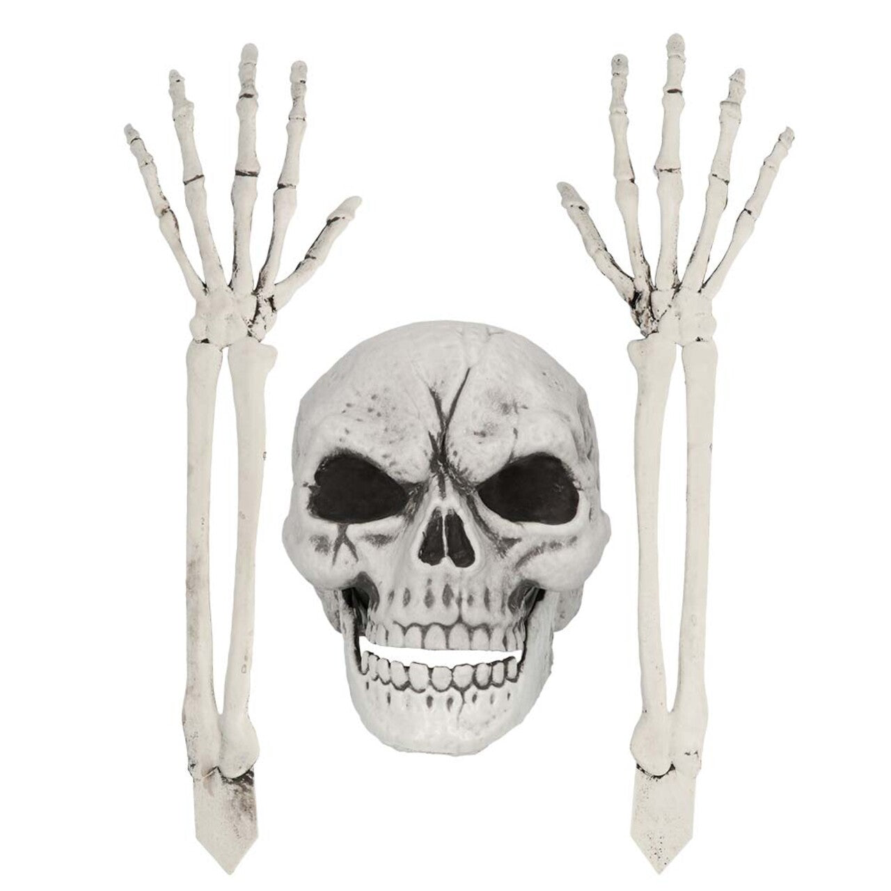 Op deze afbeelding zie je een Decoratie, van het merk Boland. Losse Onderdelen Skelet