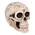 Decoratie Schedel Science Astronomy
