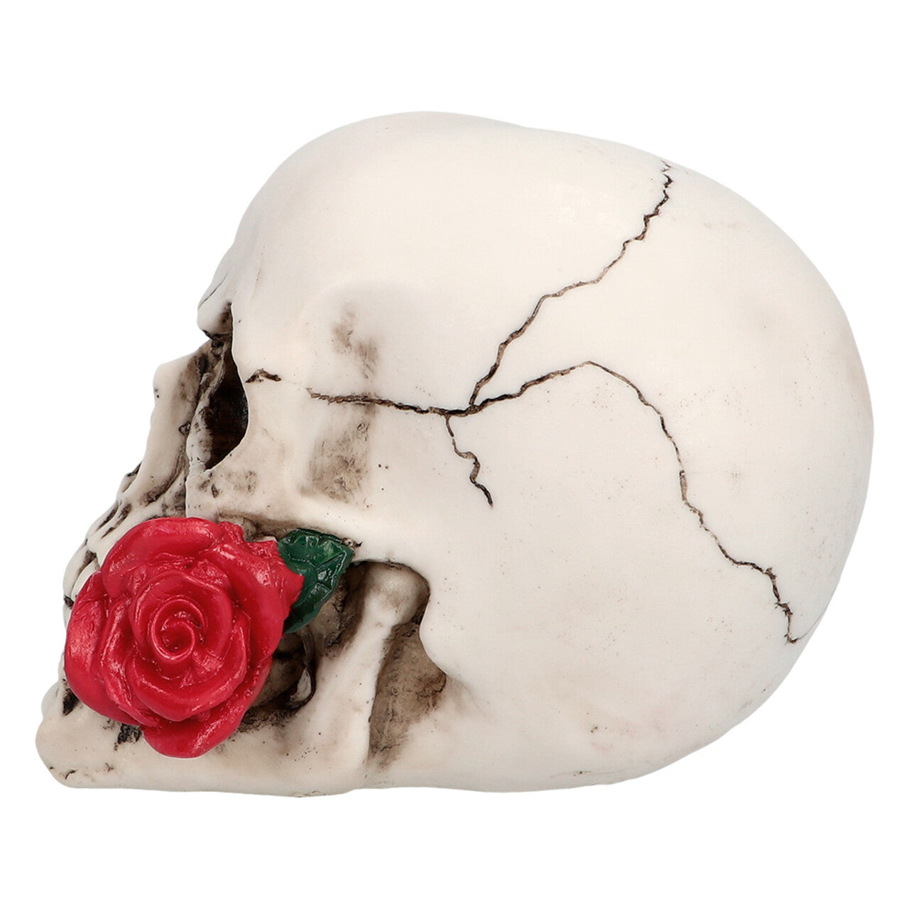 Op deze afbeelding zie je een Decoratie, van het merk Boland. Schedel Eeuwige Romanticus Casanova