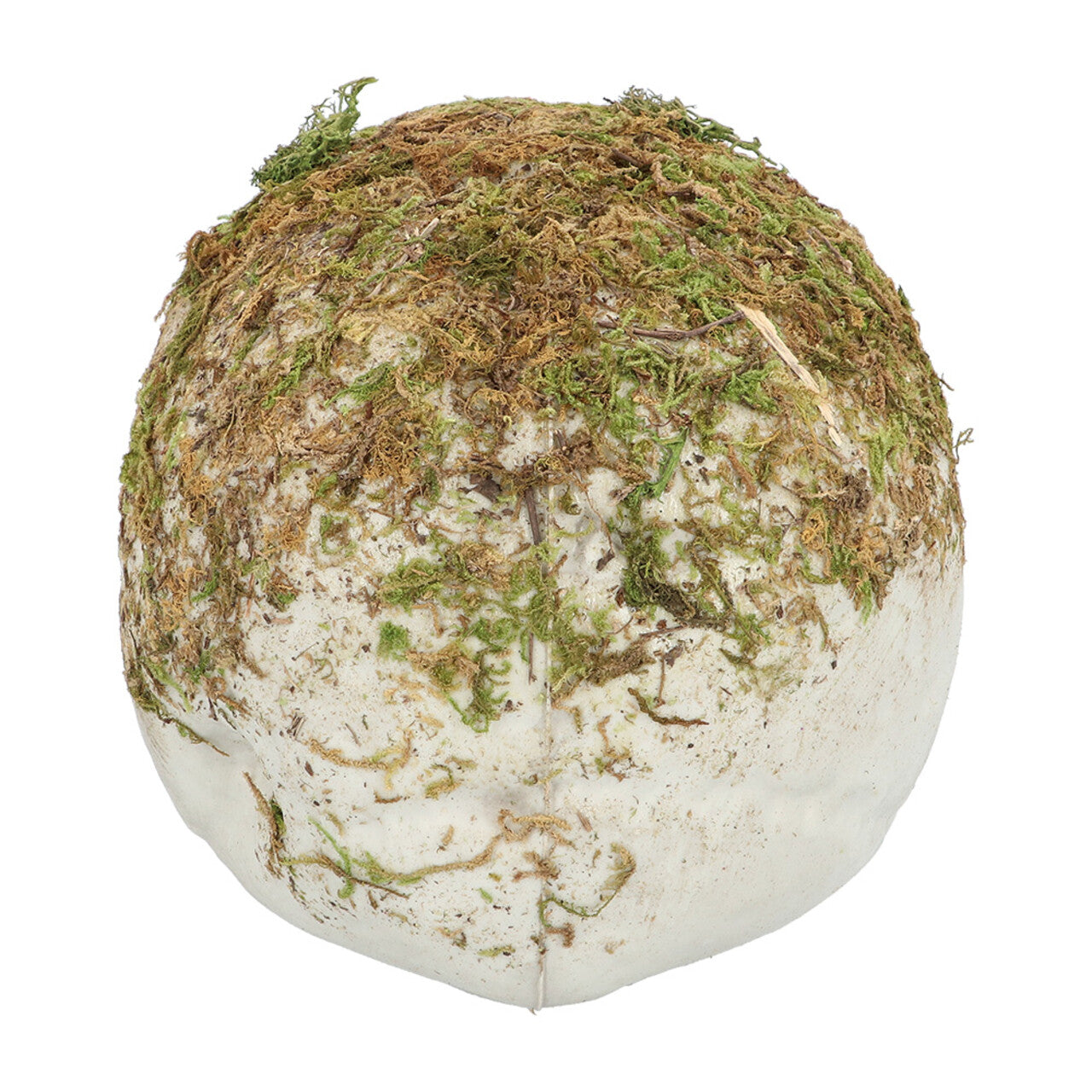 Op deze afbeelding zie je een Decoratie, van het merk Boland. Decoratie Schedel Met Mos Swamp