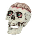 Decoratie Schedel Brain-Dead Met Beweegbare Kaak