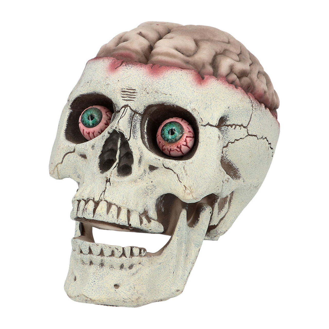 Op deze afbeelding zie je een Decoratie, van het merk Boland. Decoratie Schedel Brain-Dead Met Beweegbare Kaak