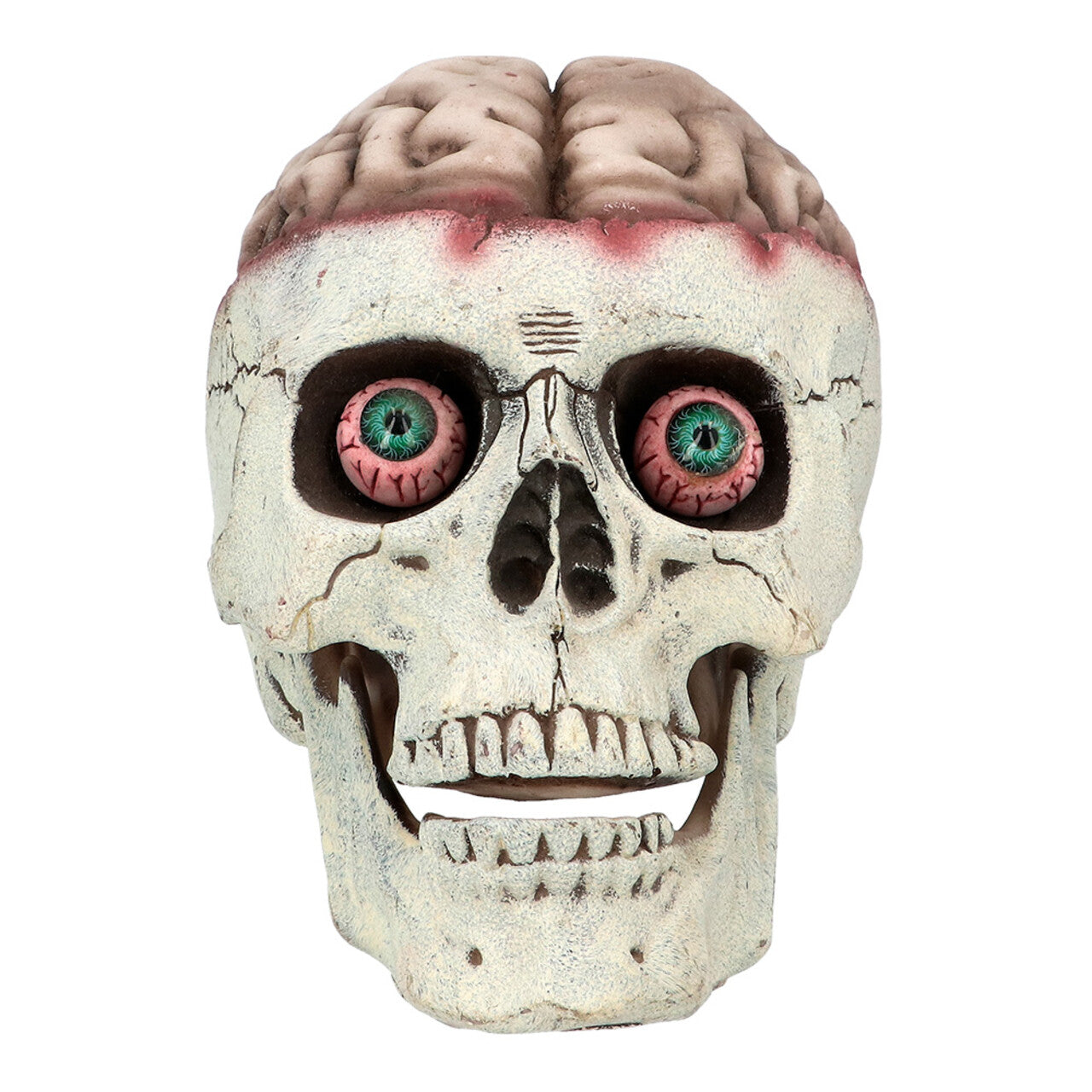 Op deze afbeelding zie je een Decoratie, van het merk Boland. Decoratie Schedel Brain-Dead Met Beweegbare Kaak