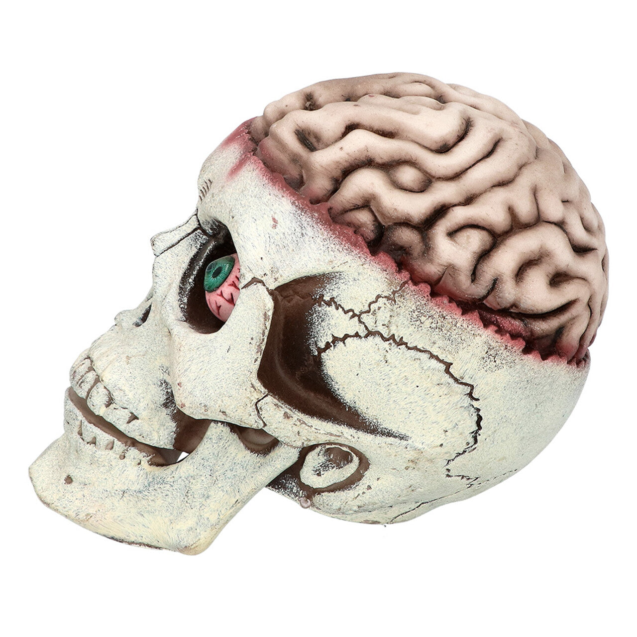 Op deze afbeelding zie je een Decoratie, van het merk Boland. Decoratie Schedel Brain-Dead Met Beweegbare Kaak