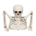 Skelet Groundbreaker 20 Cm