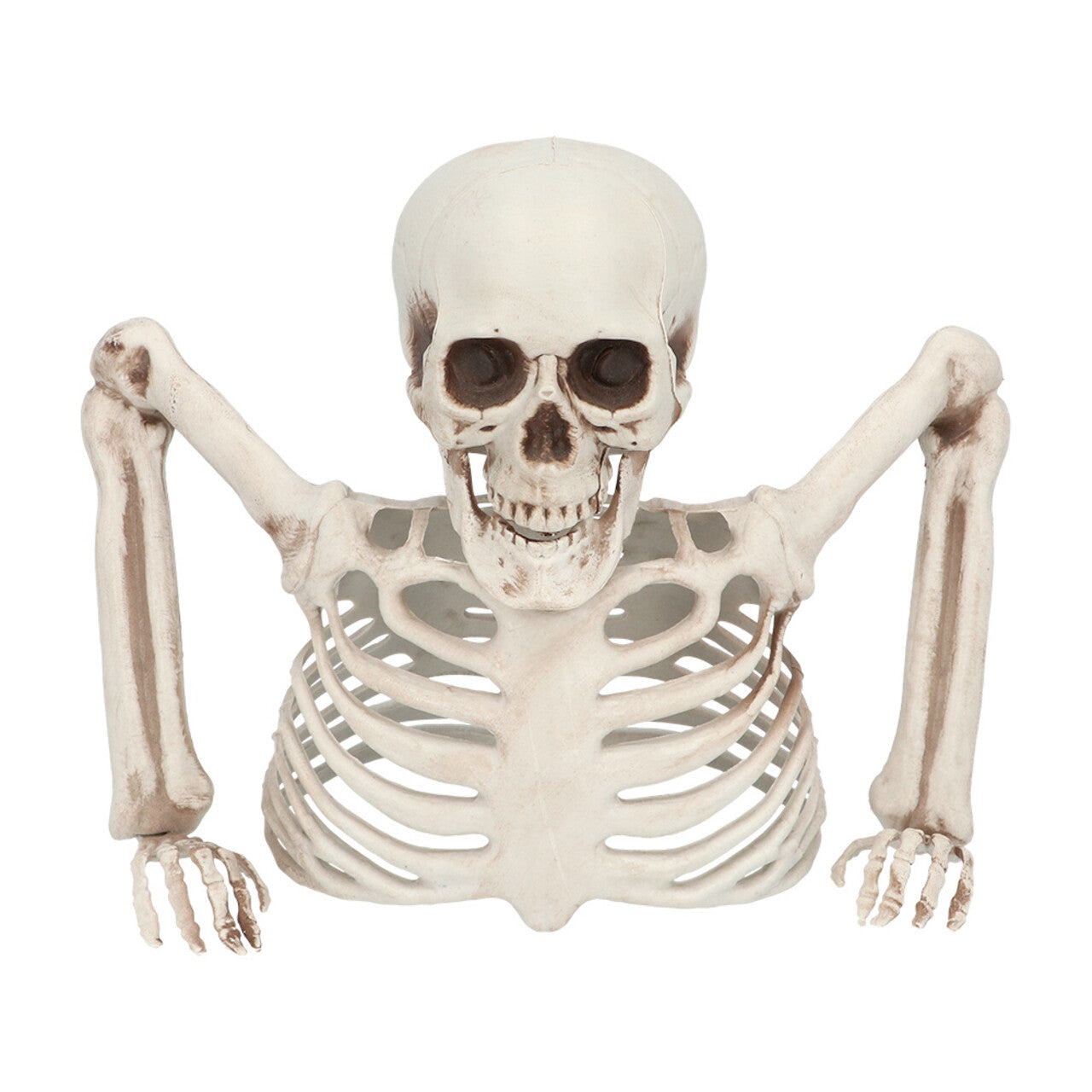 Op deze afbeelding zie je een Decoratie, van het merk Boland. Skelet Groundbreaker 20 Cm