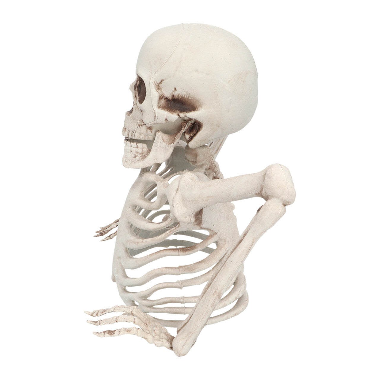 Op deze afbeelding zie je een Decoratie, van het merk Boland. Skelet Groundbreaker 20 Cm