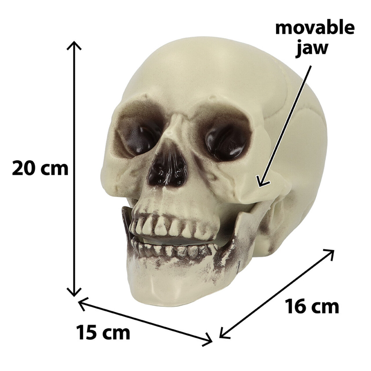 Op deze afbeelding zie je een Decoratie, van het merk Boland. Decoratie Schedel Whisperbone