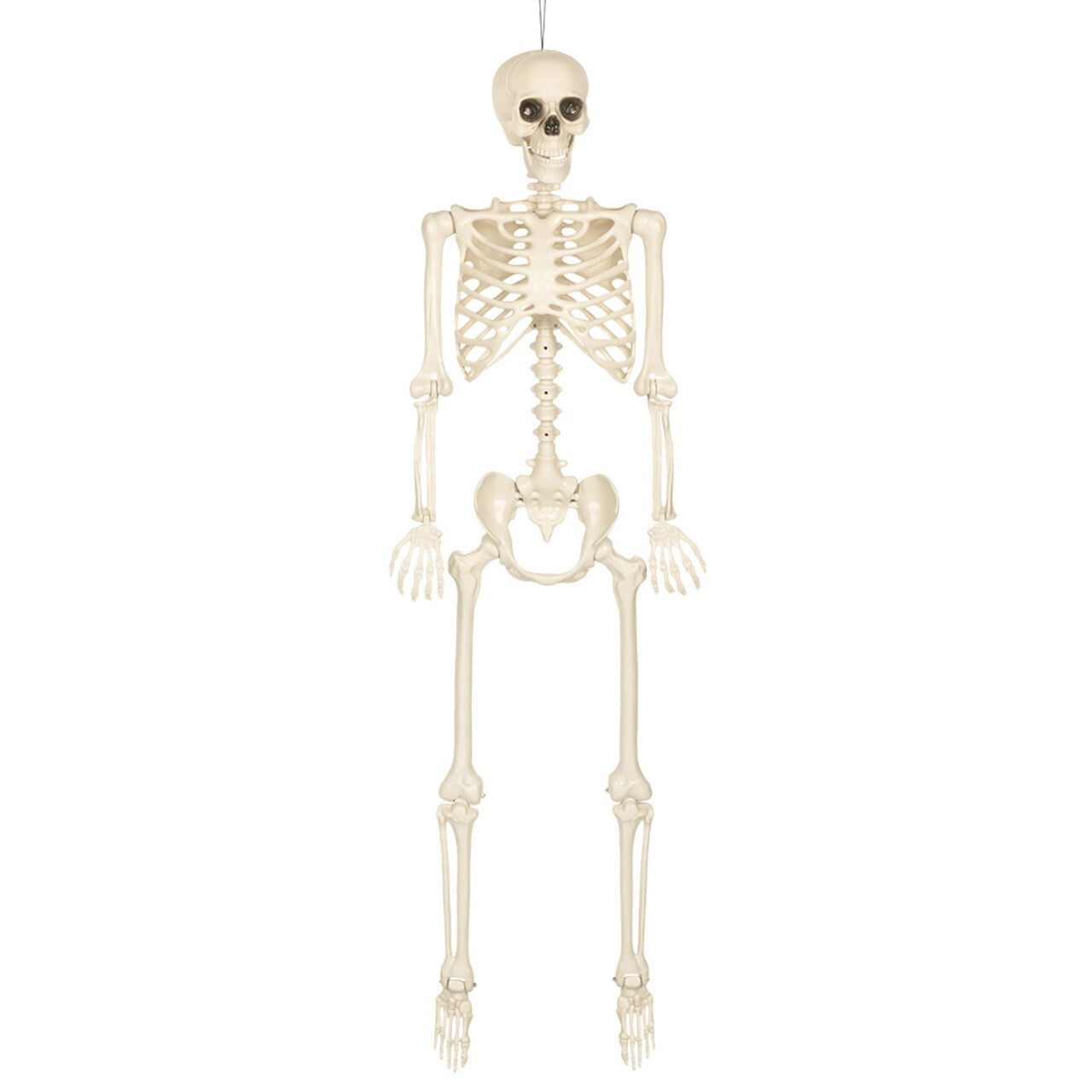 Op deze afbeelding zie je een Decoratie, van het merk Boland. Hangdecoratie Skelet Skinny Wit