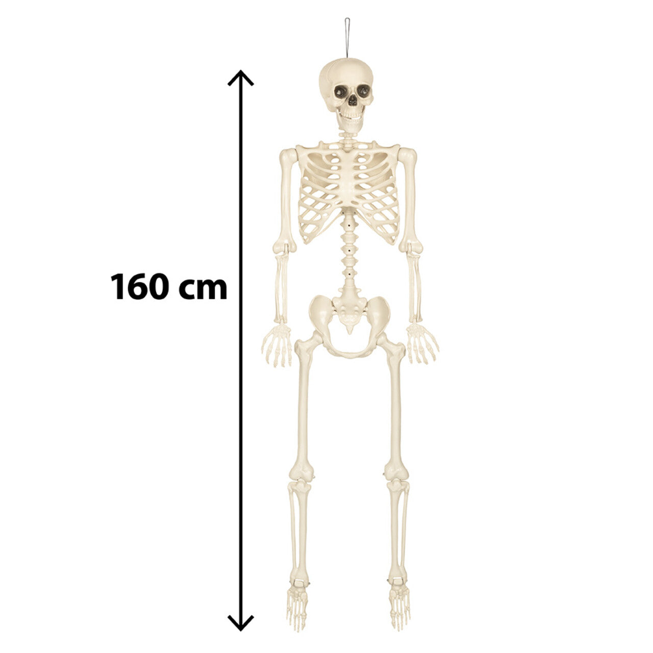 Op deze afbeelding zie je een Decoratie, van het merk Boland. Hangdecoratie Skelet Skinny Wit