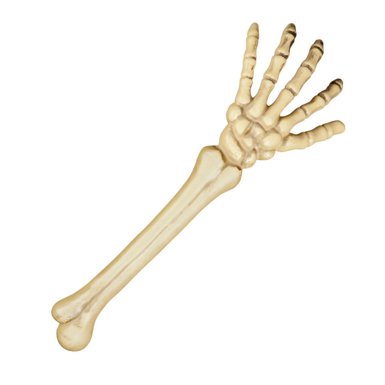 Op deze afbeelding zie je een Decoratie, van het merk Boland. Skeletarm 46 Cm