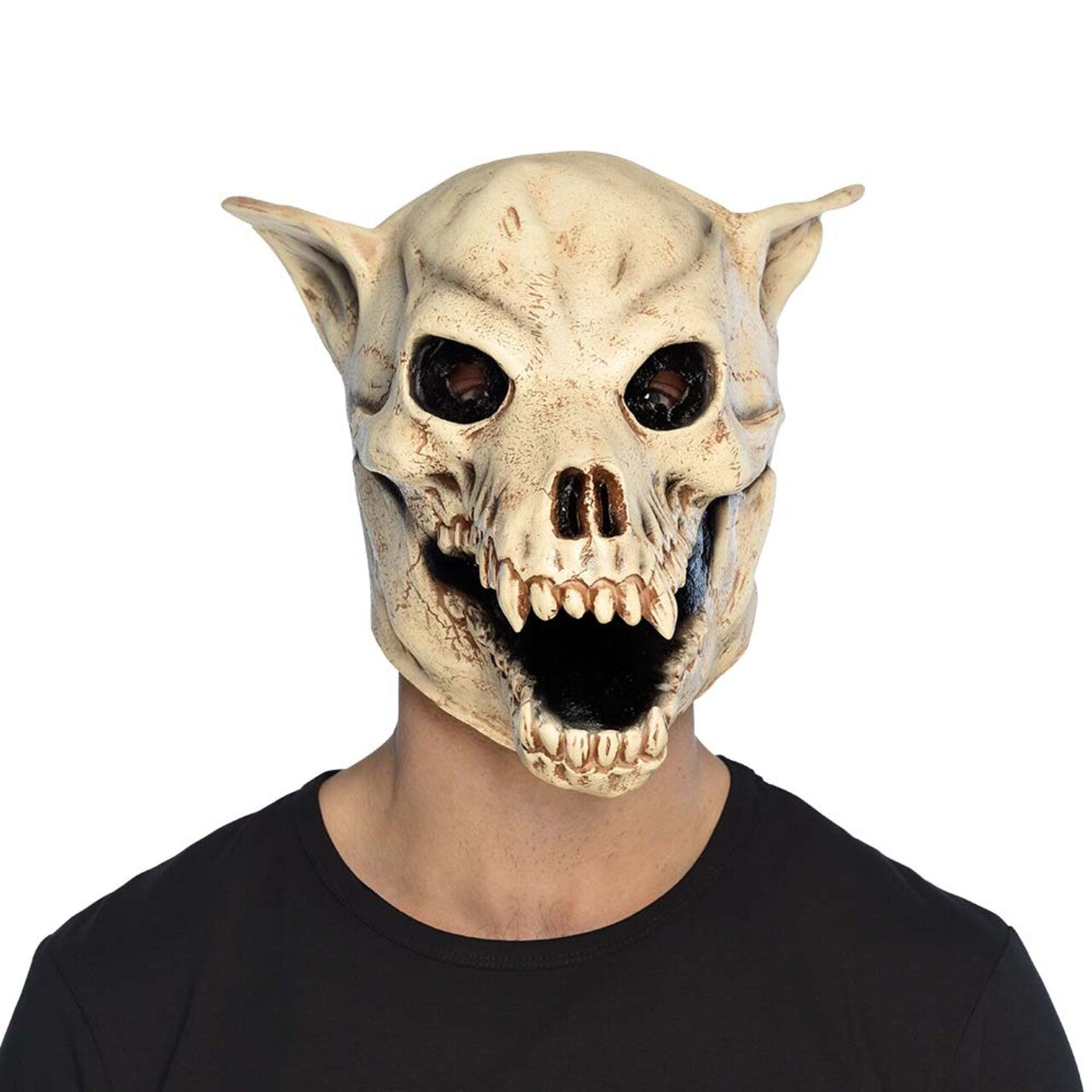 Op deze afbeelding zie je een Accessoires, van het merk Boland. De Vervloekte Hondenschedel