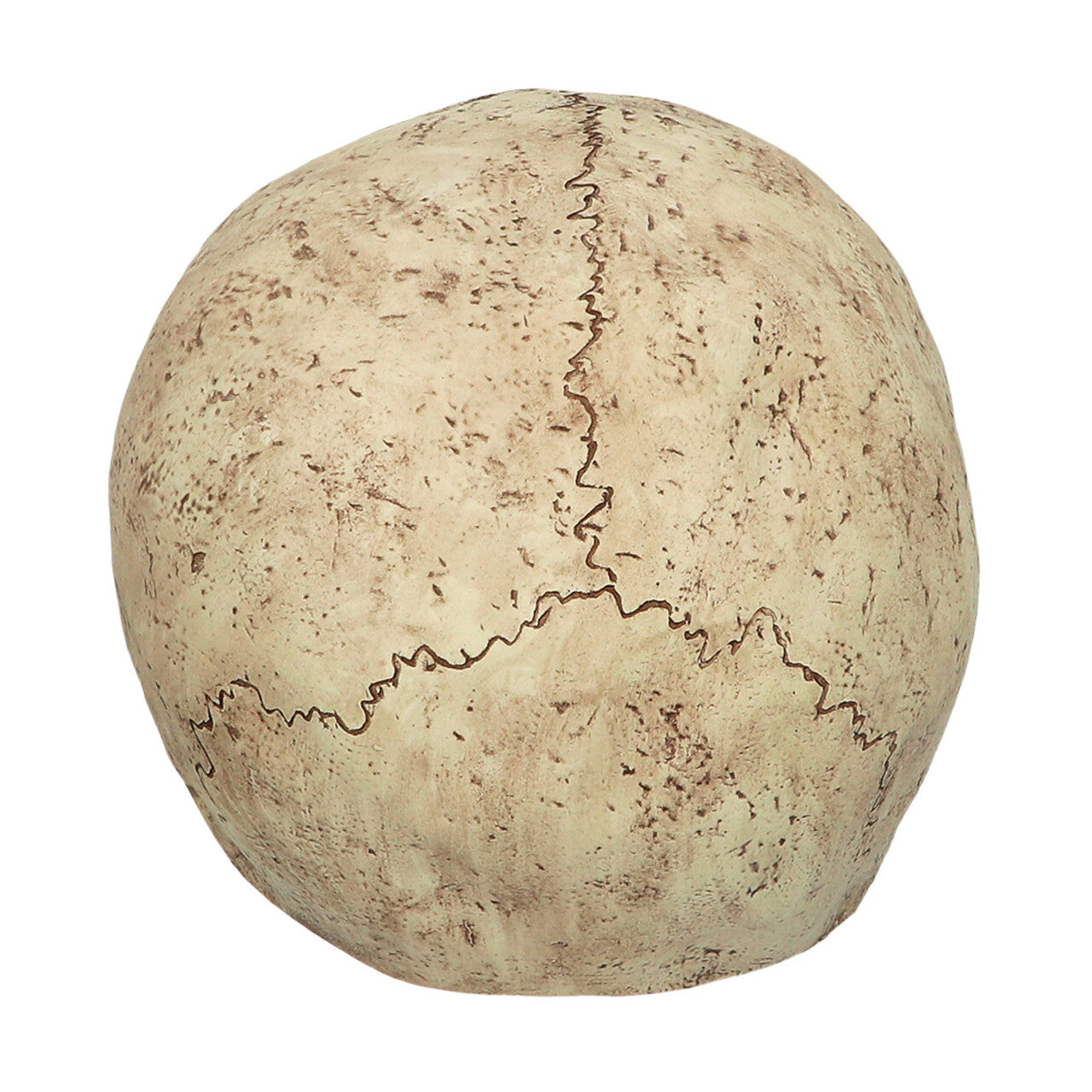 Op deze afbeelding zie je een Accessoires, van het merk Boland. Masker Master Of Skulls