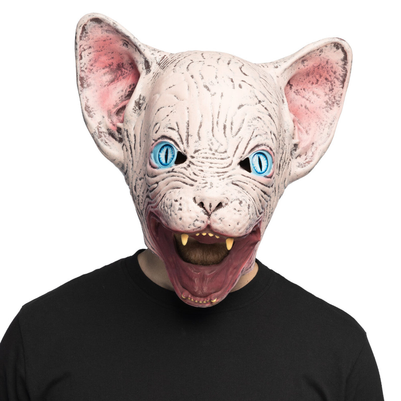Op deze afbeelding zie je een Accessoires, van het merk Boland. Masker Horror Cat