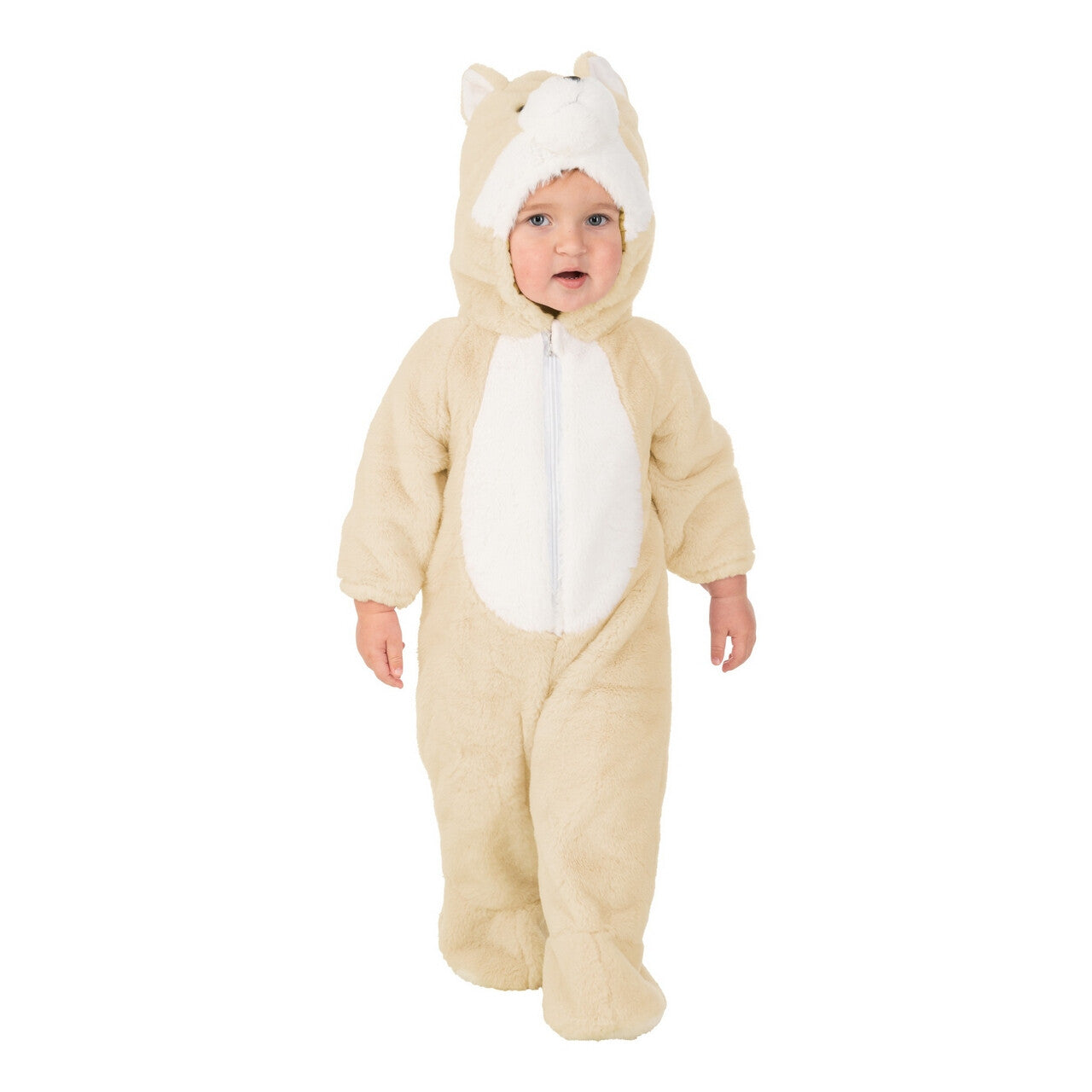 Op deze afbeelding zie je een Kostuums, van het merk Chaks. Baby Fosse Vos Kind Kostuum