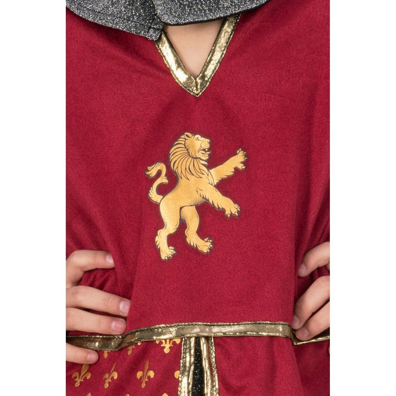Op deze afbeelding zie je een Kostuums, van het merk Chaks. Red Lion Ridder Van Leeuwkasteel Jongen Kostuum