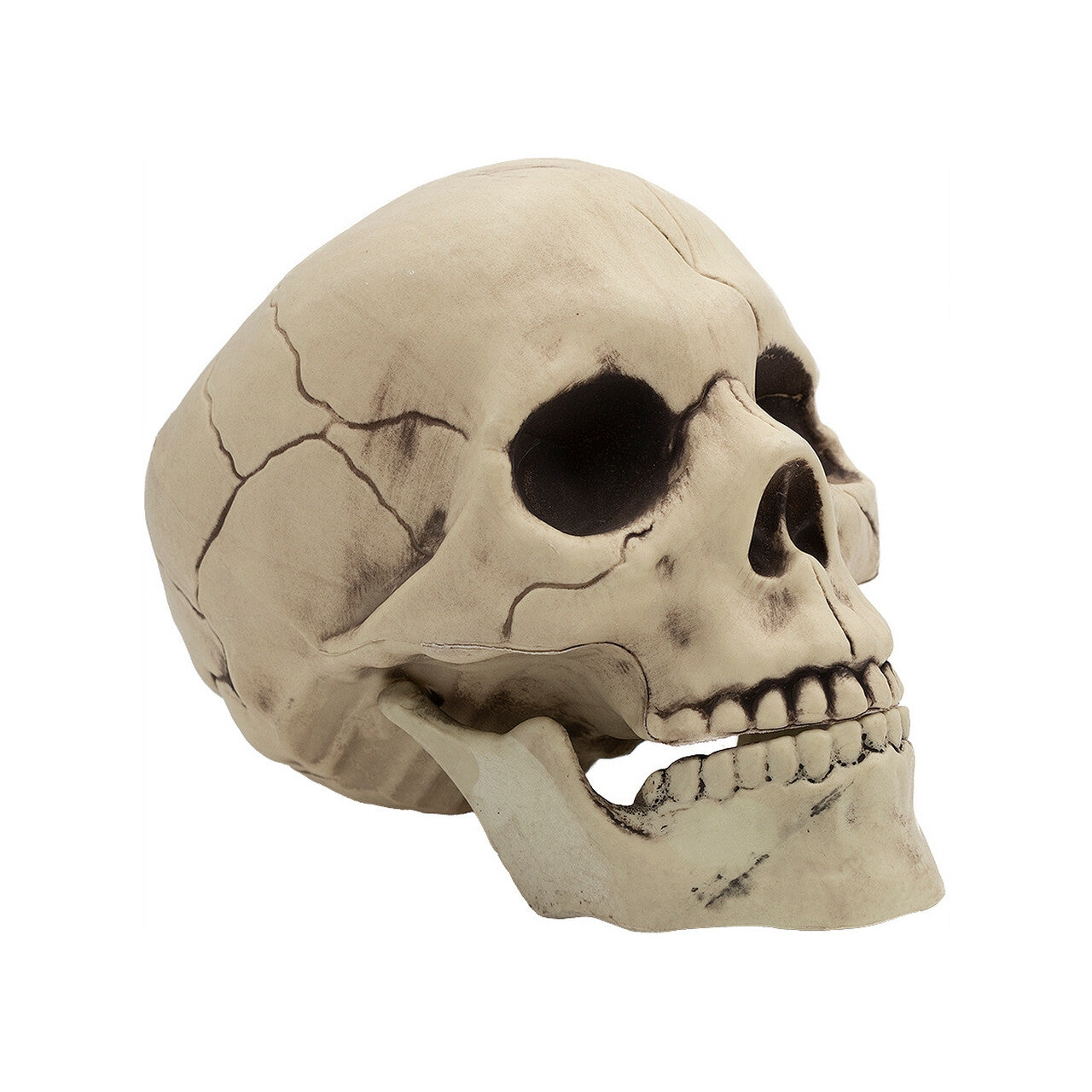 Op deze afbeelding zie je een Decoratie, van het merk Funidelia. Decoratieve Halloween Schedel