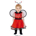 Kleine Lieve Insect Lieveheersbeestje Meisje Kostuum