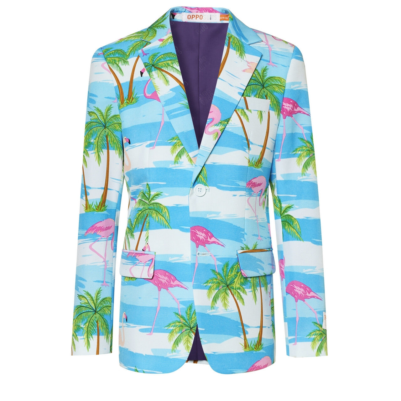 Op deze afbeelding zie je een Kostuums, van het merk Opposuits. Tropisch Flaminguy Tiener Jongen Kostuum