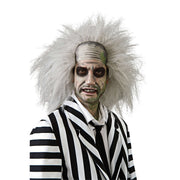 Op deze afbeelding zie je een Accessoires, van het merk Rubies. Beetlejuice Pruik Gekke Ontplofte Professor
