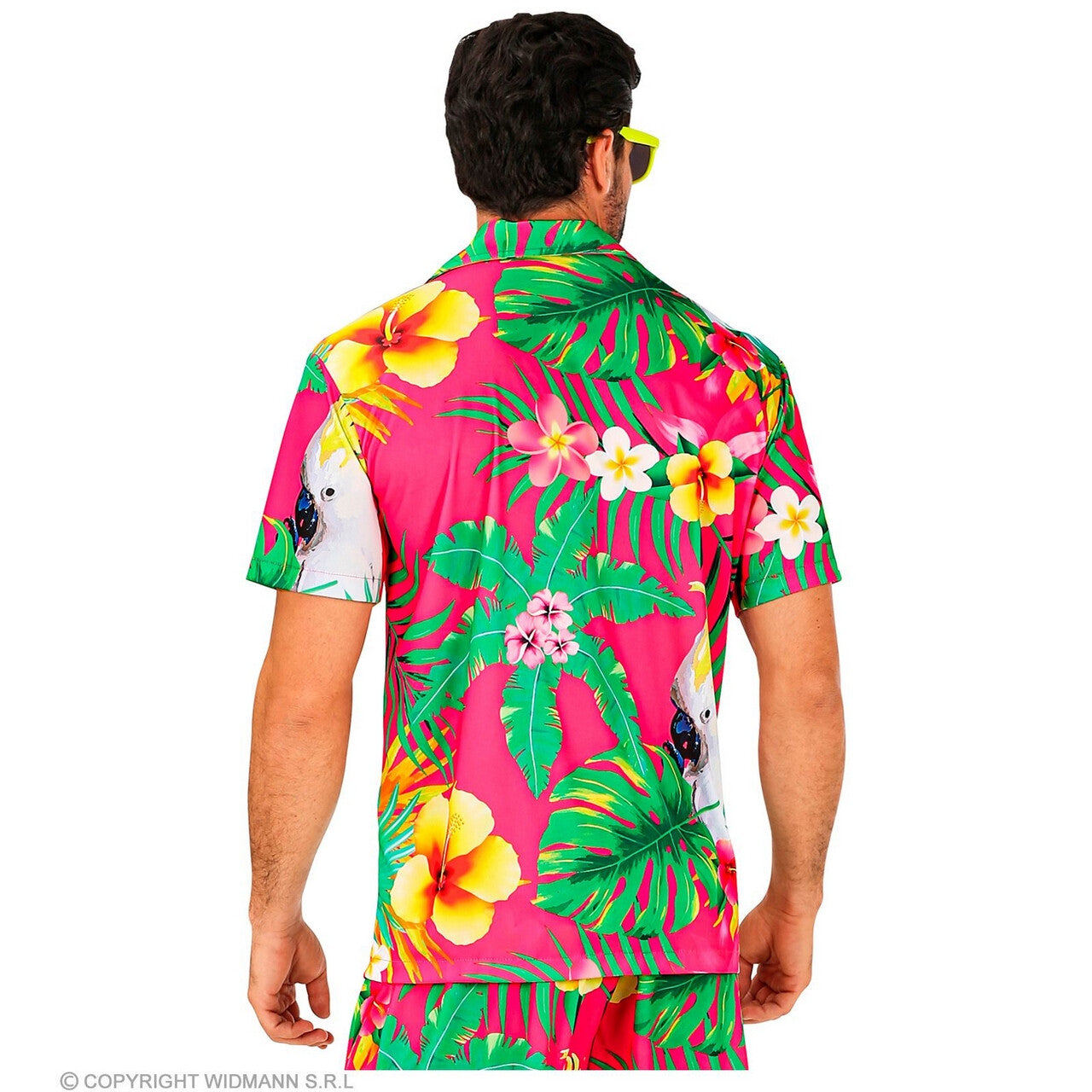 Op deze afbeelding zie je een Kostuums, van het merk Widmann. Pretty In Pink Beach Shirt Man