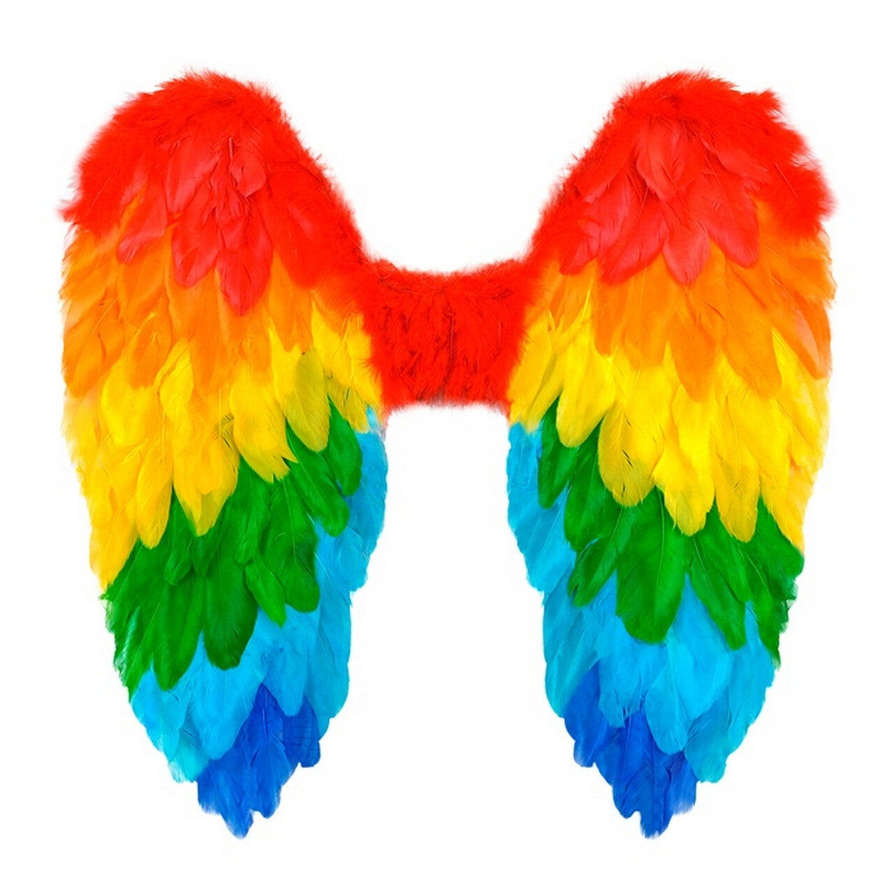 Op deze afbeelding zie je een Accessoires, van het merk Widmann. Must Be An Rainbow Angel Vleugels