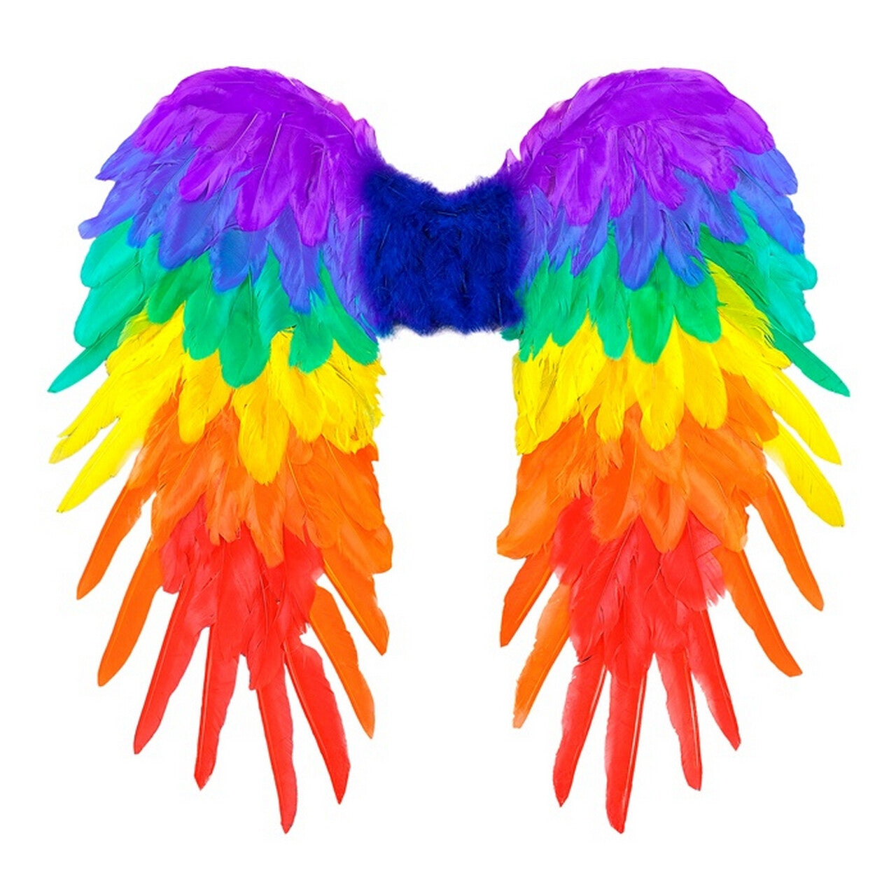 Op deze afbeelding zie je een Accessoires, van het merk Widmann. Regenboog Engelen Vleugels