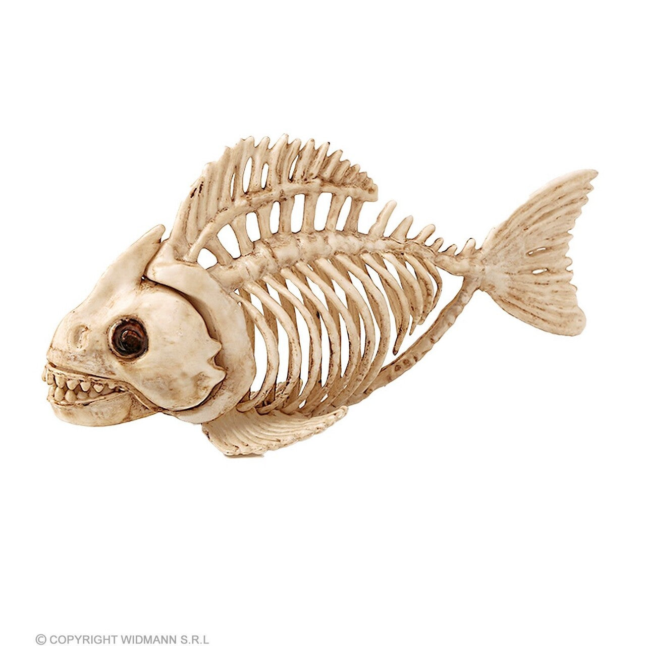 Op deze afbeelding zie je een Decoratie, van het merk Widmann. Decoratie Skelet Piranha Vis