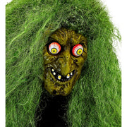 Op deze afbeelding zie je een Accessoires, van het merk Widmann. Masker Groene Bezeten Heks