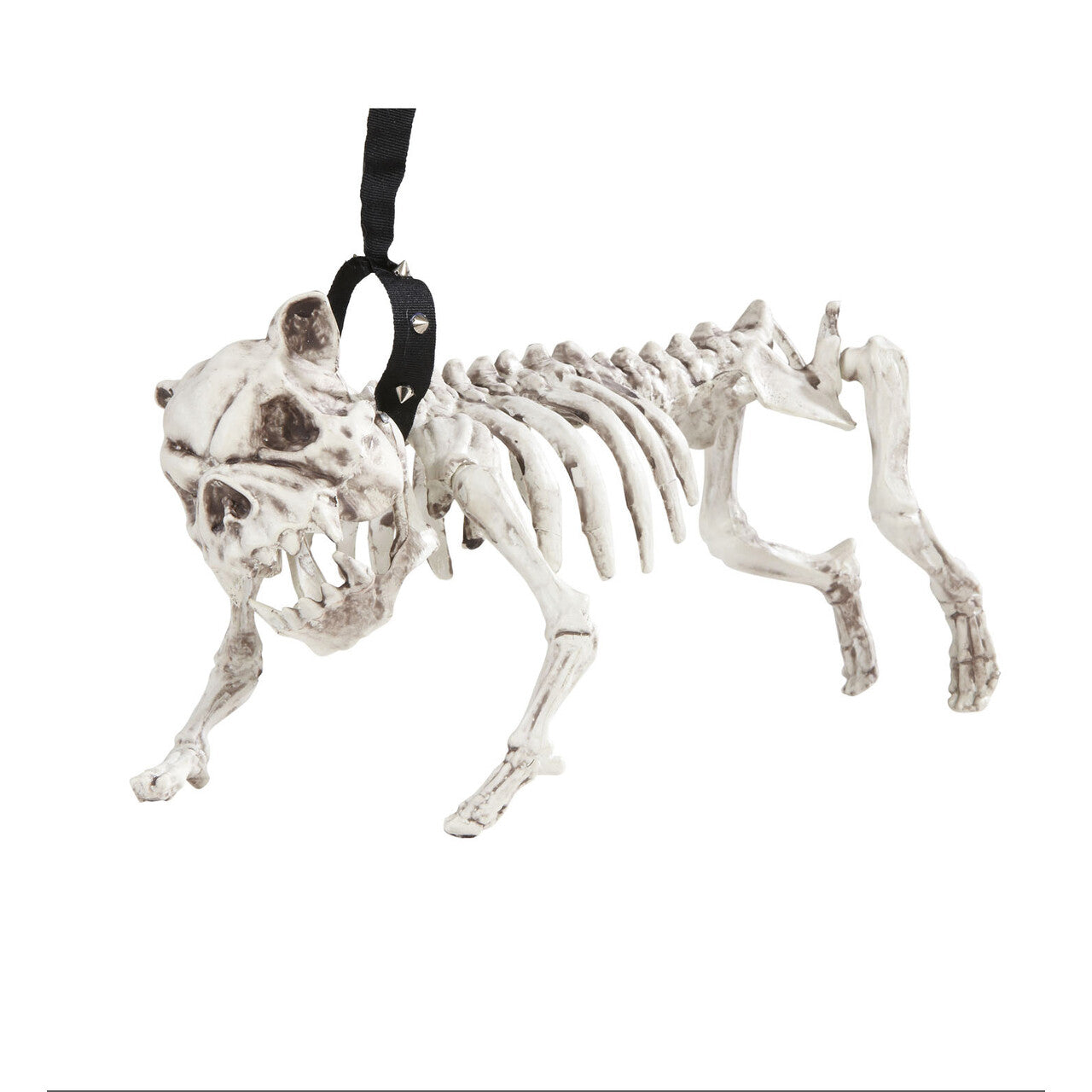 Op deze afbeelding zie je een Accessoires, van het merk Widmann. Horror Huisdier Skelet Hond Met Riem, 45 Centimeter