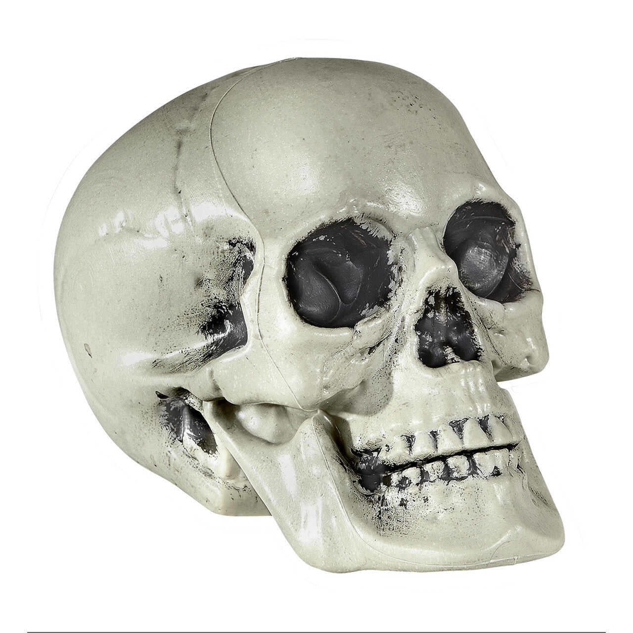 Op deze afbeelding zie je een Decoratie, van het merk Widmann. Halloween Deco Schedel Van Pvc 21 Centimeter