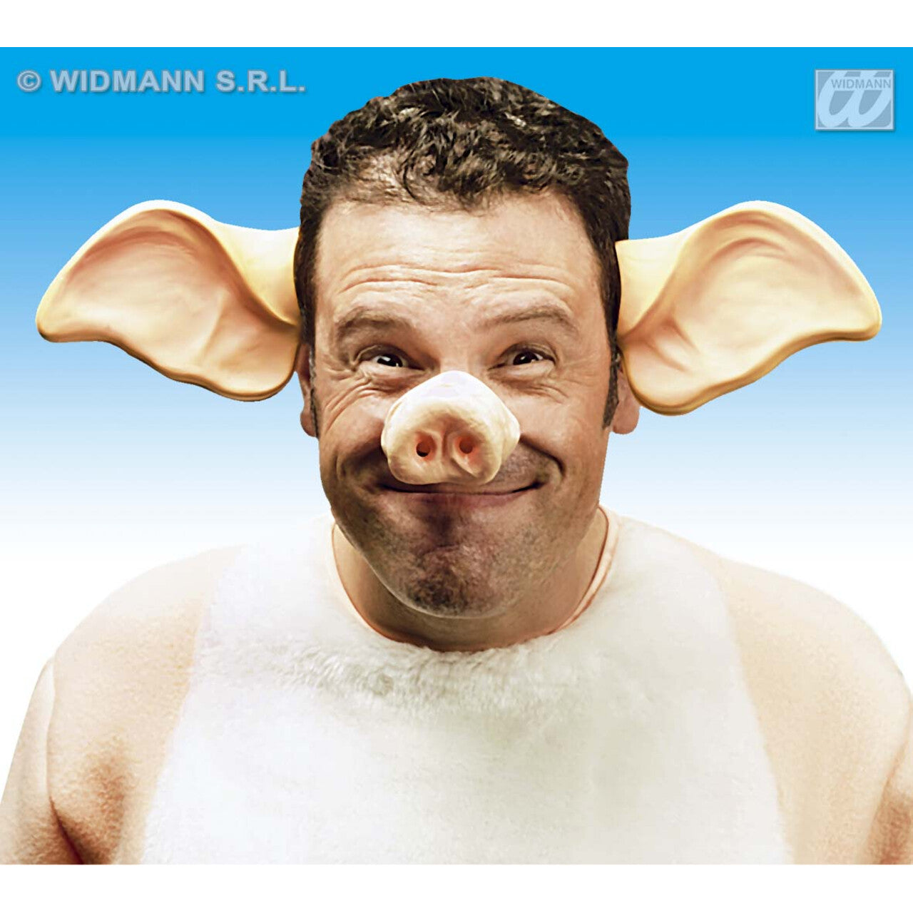 Op deze afbeelding zie je een Accessoires, van het merk Widmann. Pvc Oren, Varken