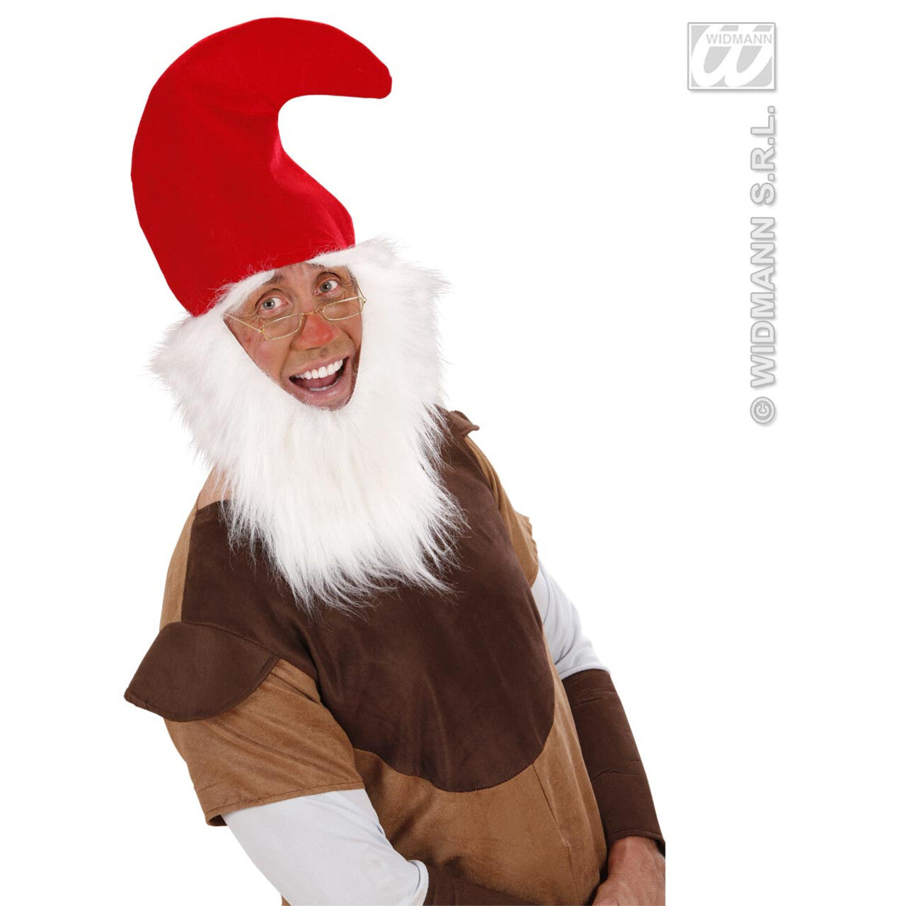 Op deze afbeelding zie je een Accessoires, van het merk Widmann. Kaboutermuts Met Baard En Wenkbrauwen